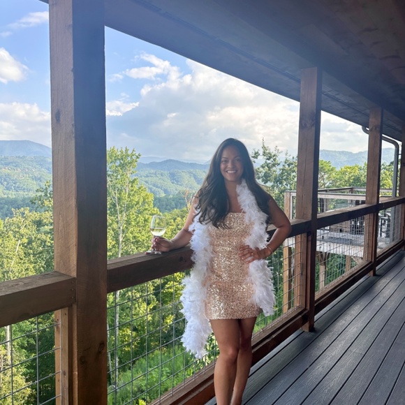 Retrofete Heather sequin Dress in Champagne - Picture 6 of 6